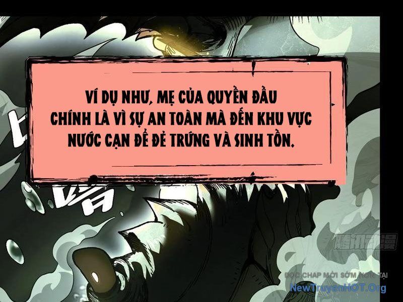 Thành Thần Bắt Đầu Từ Thủy Hầu Tử Chapter 51 - 12