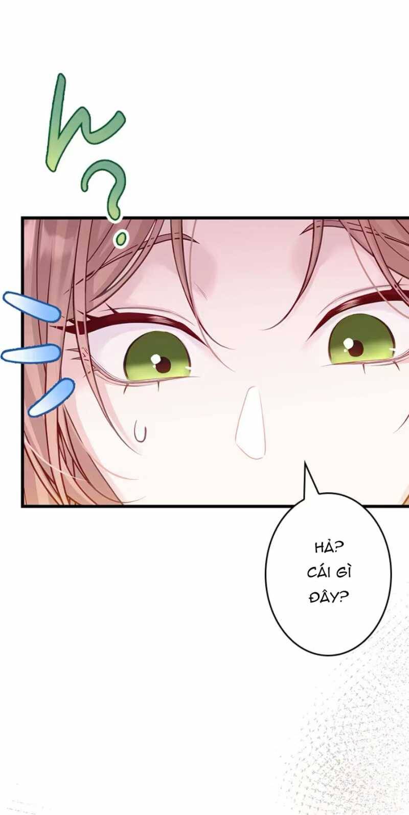 Tôi Sẽ Biến Anh Ta Từ Một Con Chó Điên Thành Một Chàng Quý Tộc Chapter 3.1 - 17