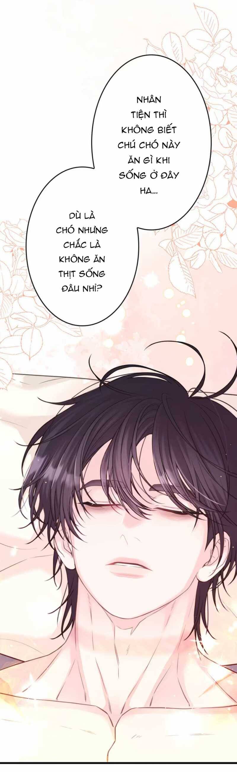 Tôi Sẽ Biến Anh Ta Từ Một Con Chó Điên Thành Một Chàng Quý Tộc Chapter 3.2 - 11