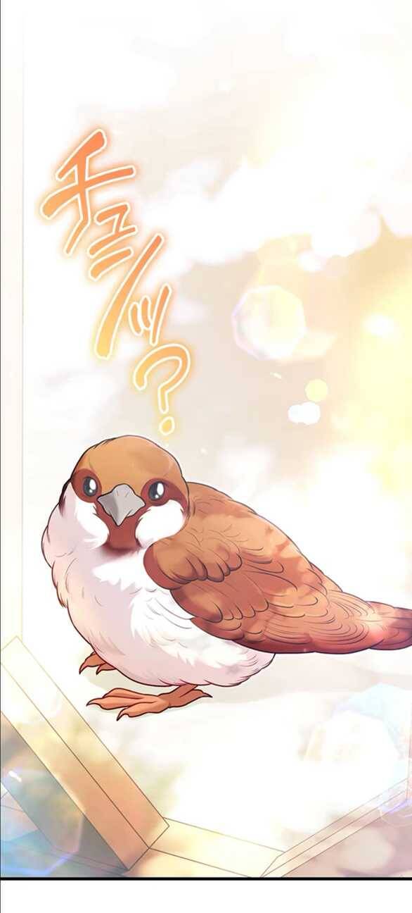 Tôi Sẽ Biến Anh Ta Từ Một Con Chó Điên Thành Một Chàng Quý Tộc Chapter 9.2 - 8