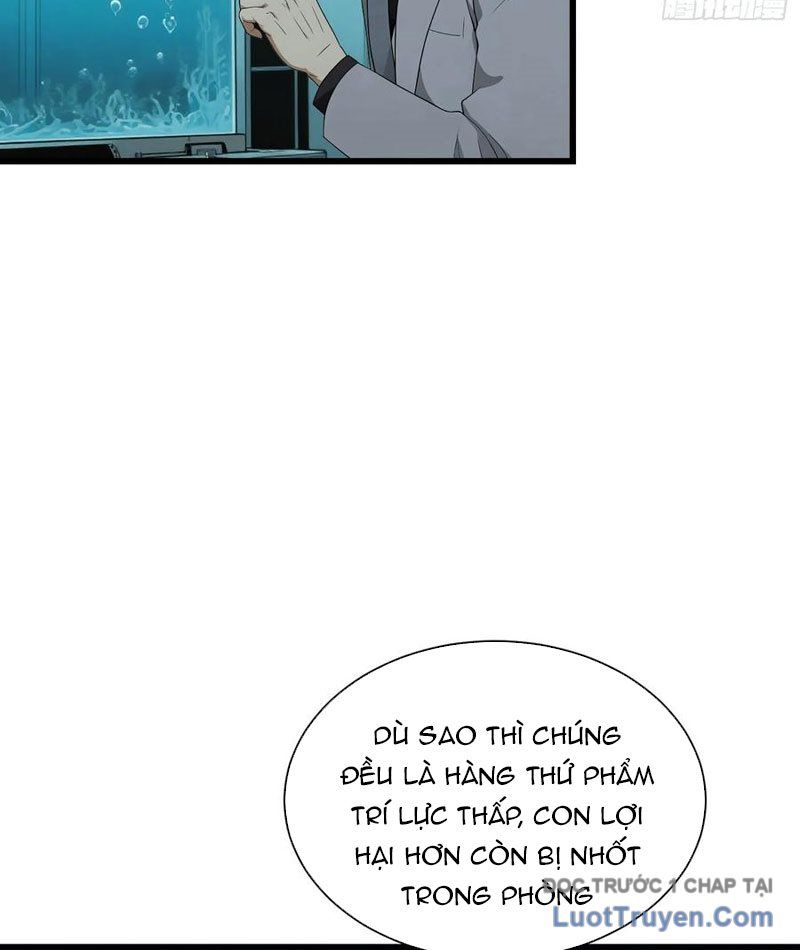 Võ Đạo Tông Sư Trùng Sinh Làm Công Nhân Chapter 38 - 12