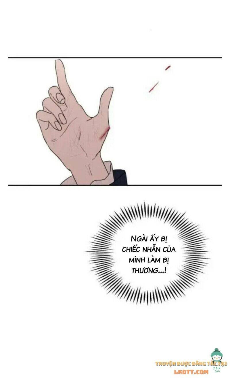 Gia Đình Chồng Vô Cùng Yêu Thích Tôi Chapter 2 - 27