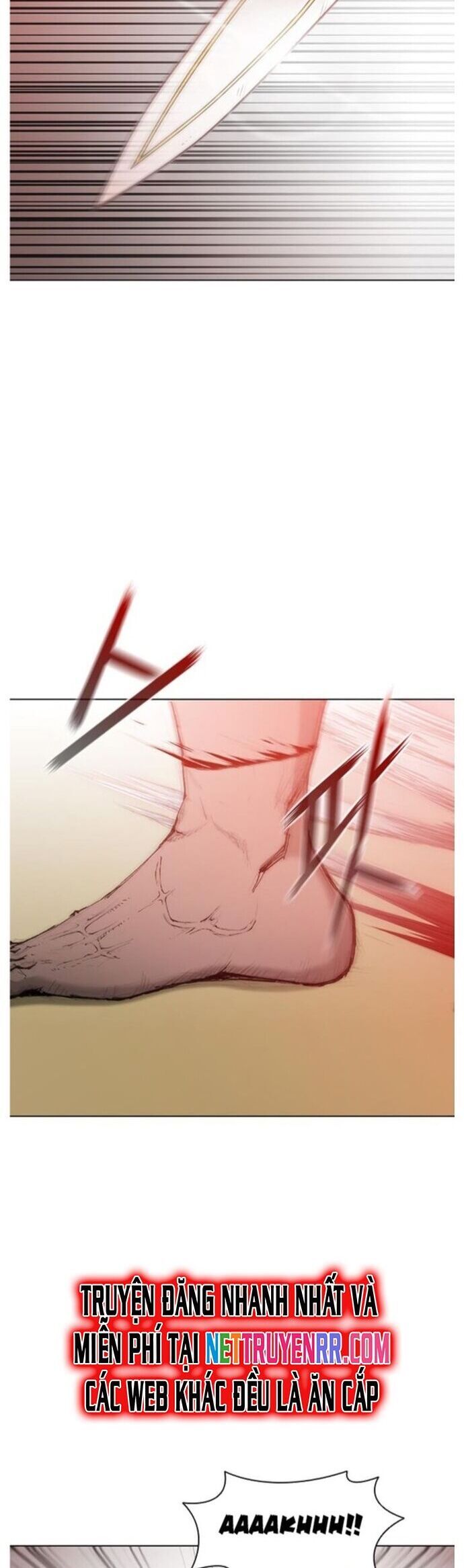 Con Đường Của Võ Giả Chapter 42 - 24