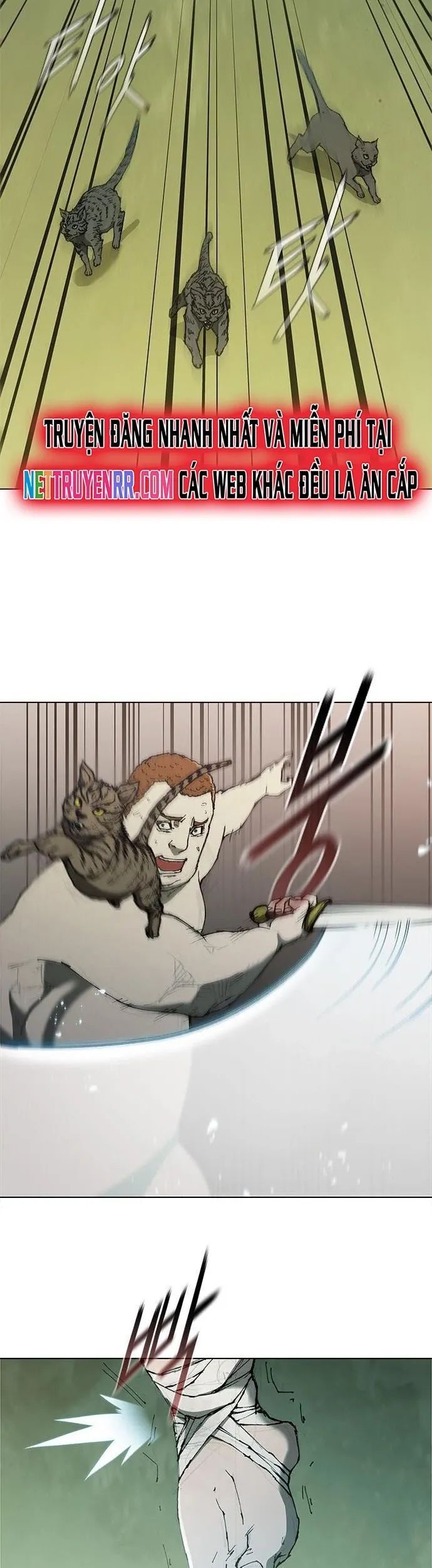 Con Đường Của Võ Giả Chapter 74 - 29