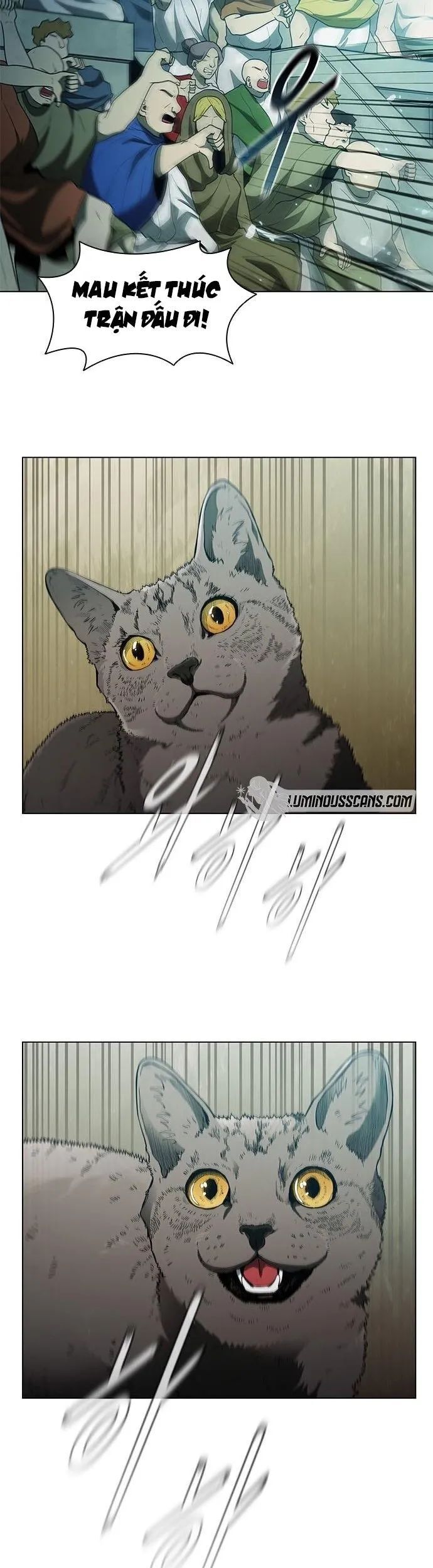 Con Đường Của Võ Giả Chapter 74 - 33