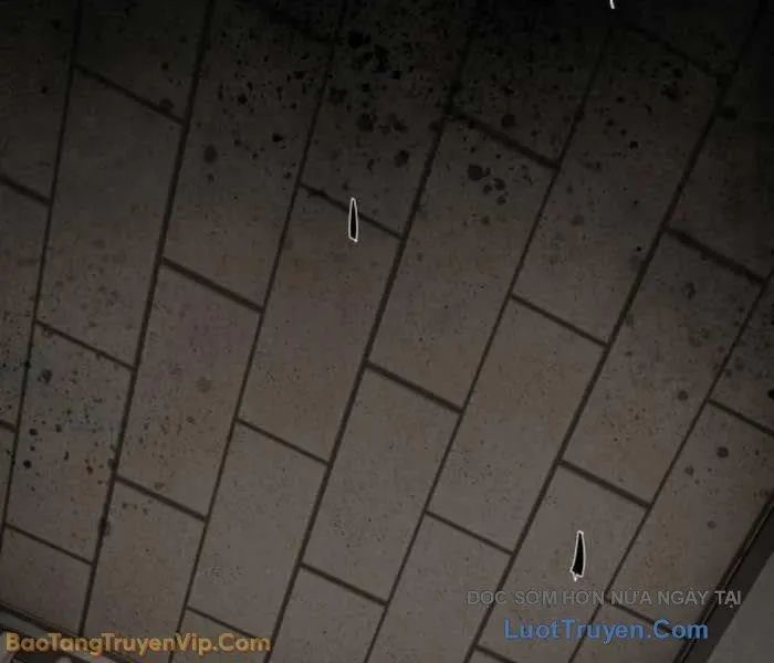 Thiên Tài Nhìn Thấu Thế Giới Chapter 40 - 317