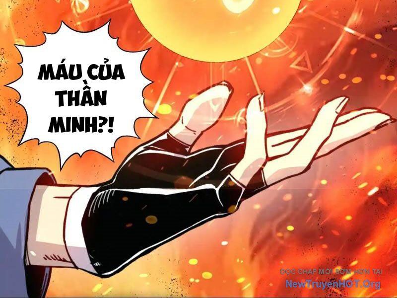 Bắt đầu chuyển chức tài thần, ta chuyển hóa triệu vạn thần sủng Chapter 30 - 116