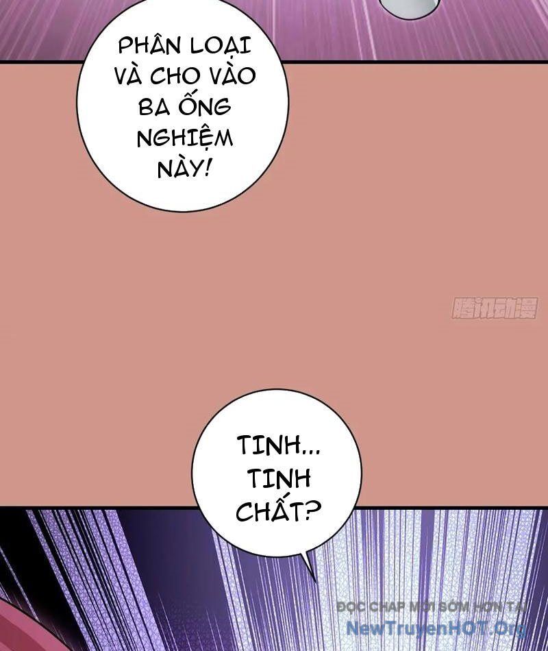Ta dựa vào hậu cung chinh phục thế giới Chapter 48 - 33