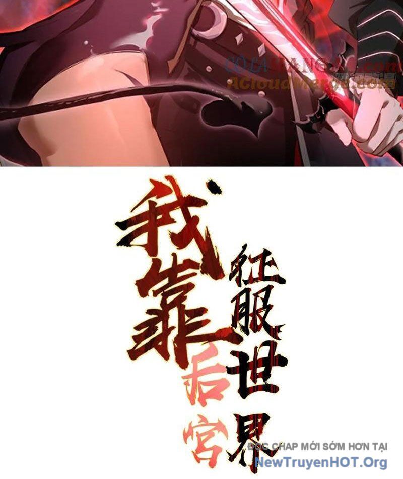 Ta dựa vào hậu cung chinh phục thế giới Chapter 49 - 2