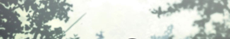 Quái Thú Bị Thuần Hóa Bởi Ác Nữ Chapter 11 - 100