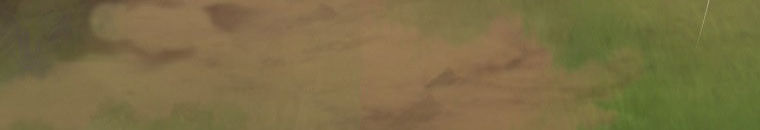 Quái Thú Bị Thuần Hóa Bởi Ác Nữ Chapter 13 - 142