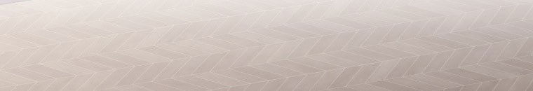 Quái Thú Bị Thuần Hóa Bởi Ác Nữ Chapter 13 - 19