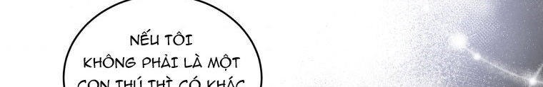 Quái Thú Bị Thuần Hóa Bởi Ác Nữ Chapter 13 - 296