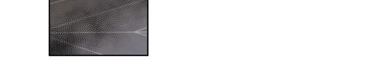 Quái Thú Bị Thuần Hóa Bởi Ác Nữ Chapter 13 - 96