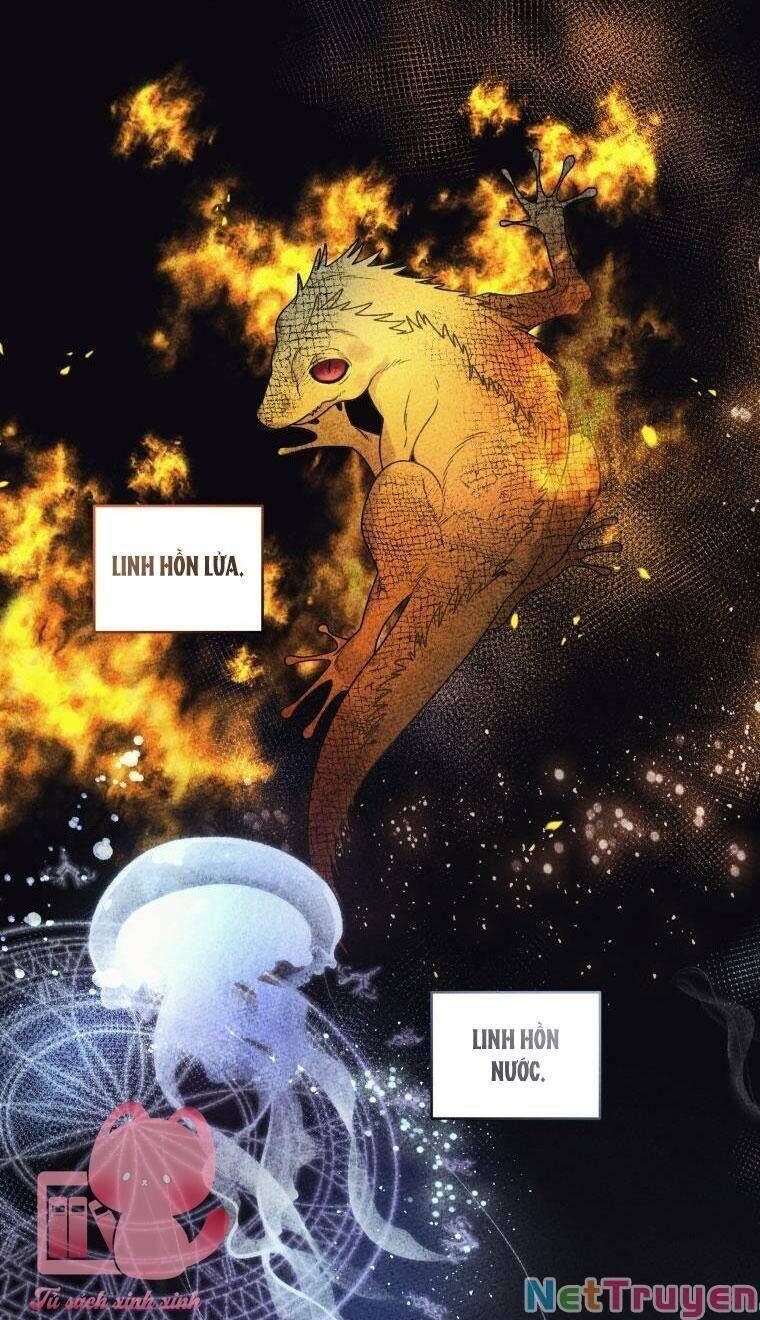 Quái Thú Bị Thuần Hóa Bởi Ác Nữ Chapter 35 - 60