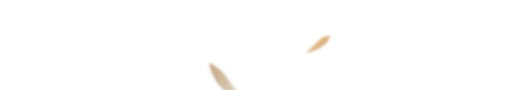 Quái Thú Bị Thuần Hóa Bởi Ác Nữ Chapter 9 - 44