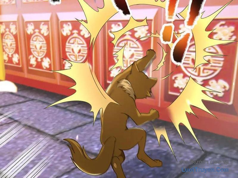 Thu triệu vạn đồ đệ, vi sư vô địch thế gian Chapter 201 - 94