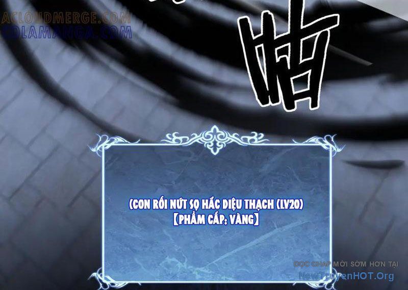 Thích Khách Thần Cấp, Ta Chính Là Bóng Đêm Chapter 45 - 37