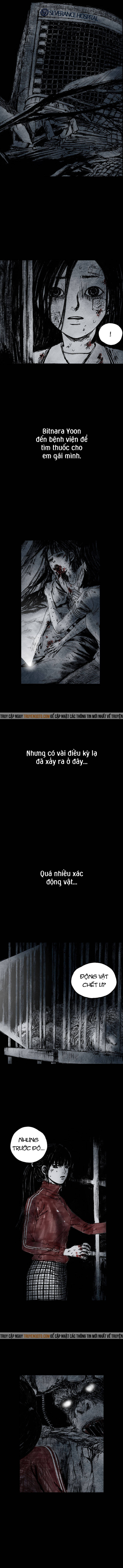 Distant Sky 4 Chapter 21 - 8