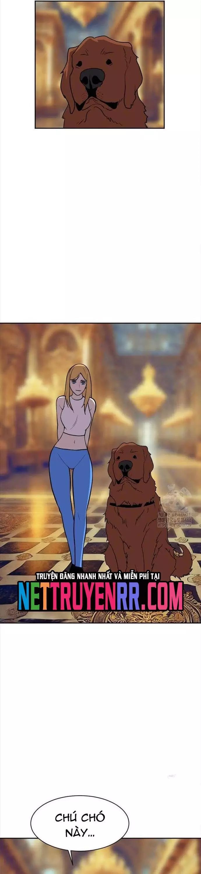 Tôi Nhặt Được Điện Thoại Từ Thế Giới Khác Chapter 248 - 14