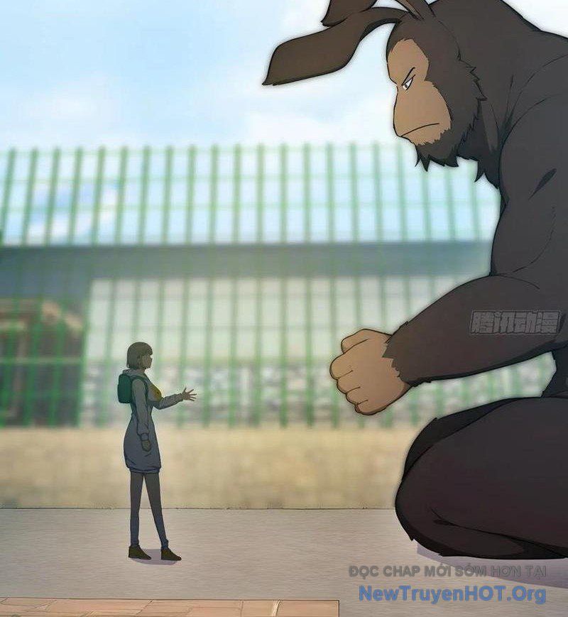 Người Chơi Siêu May Mắn Chapter 61 - 13