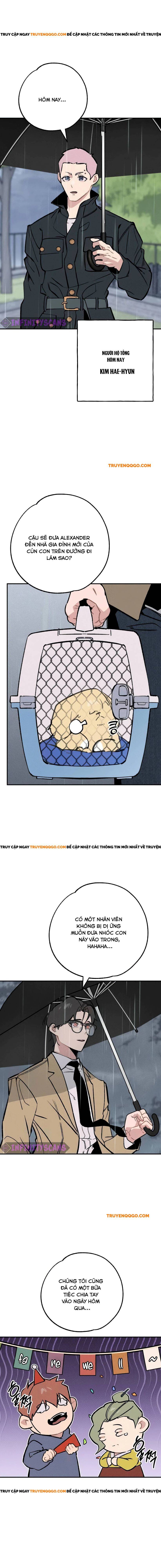 Con Rể Quỷ Quyệt Chapter 28 - 6