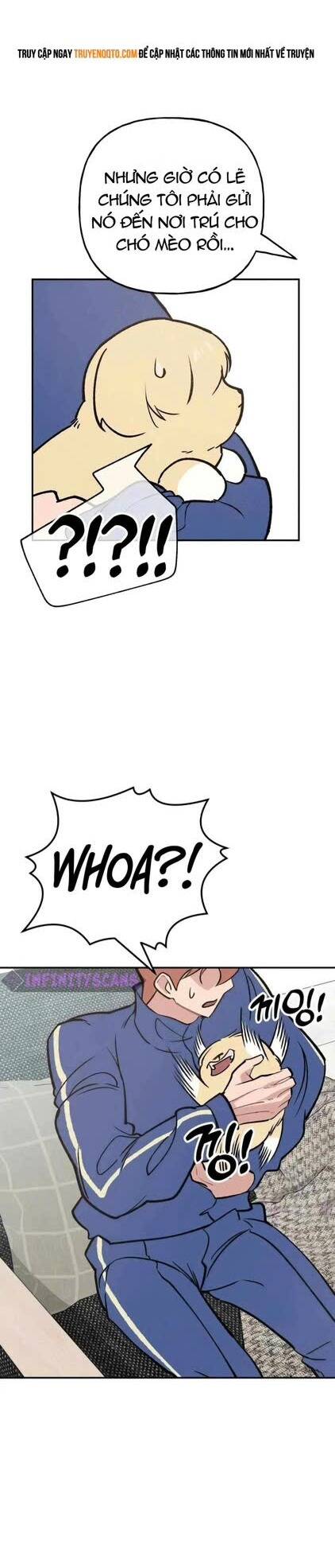 Con Rể Quỷ Quyệt Chapter 7 - 17