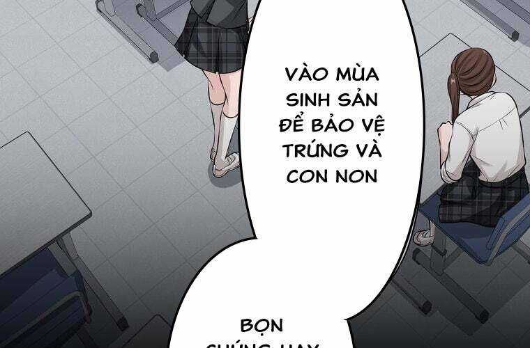 Giáo Viên Ác Quỷ Saiko Chapter 30 - 38