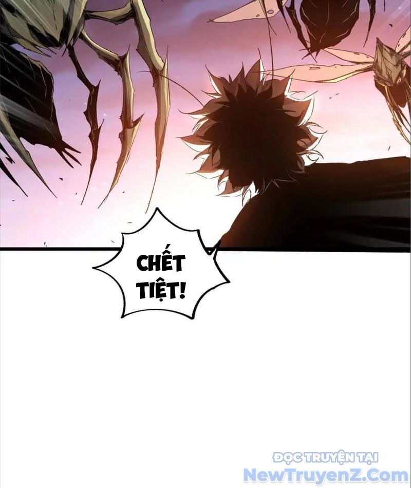 Mạt Thế Cẩu Sinh: Gián Giúp Ta Chồng Buff Chapter 42 - 15