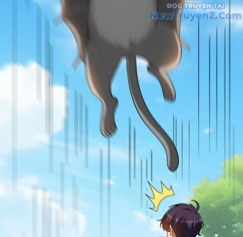 Huyễn Thú Của Ta Có Thể Tiến Hóa Vô Hạn Chapter 36 - 88