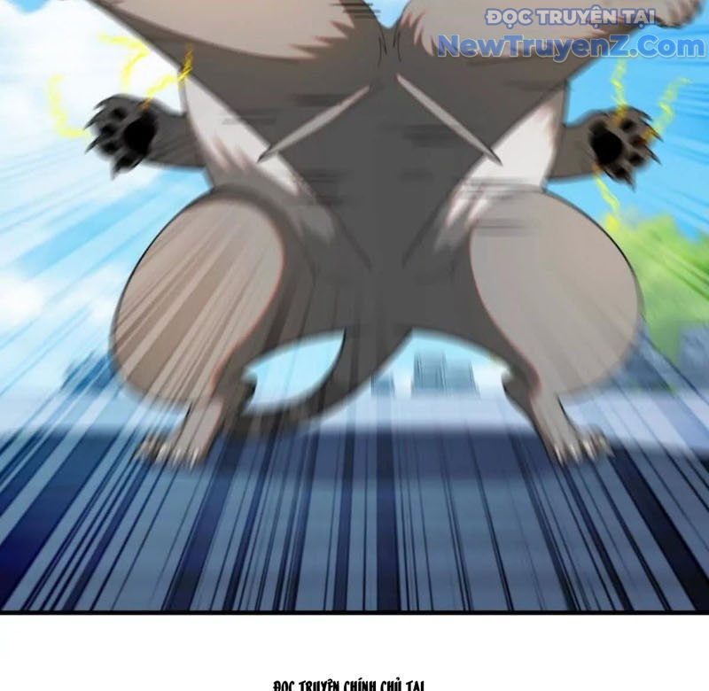 Huyễn Thú Của Ta Có Thể Tiến Hóa Vô Hạn Chapter 36 - 93
