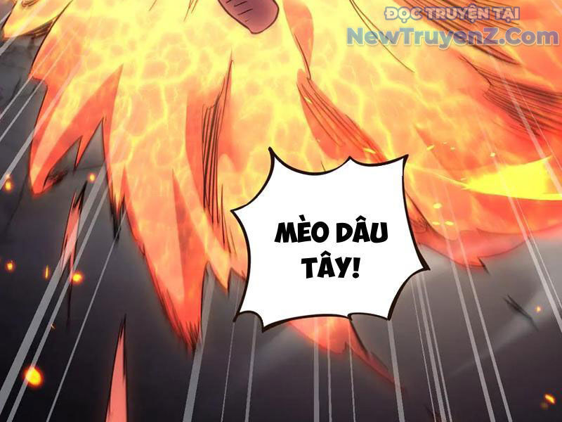 Ngự Thú: Ta Có Thế Thấy Toàn Bộ Chi Tiết Tiến Hóa Chapter 22 - 72