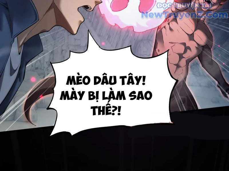 Ngự Thú: Ta Có Thế Thấy Toàn Bộ Chi Tiết Tiến Hóa Chapter 22 - 95
