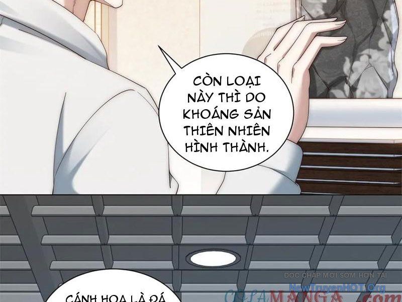 Trở Thành Vô Địch Bằng Hệ Thống Giảm Giá Trị Chapter 39 - 27