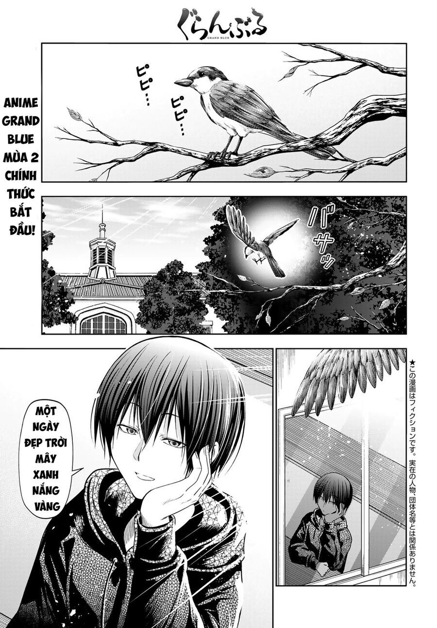 Grand Blue - Cô Gái Thích Lặn Chapter 104 - 6