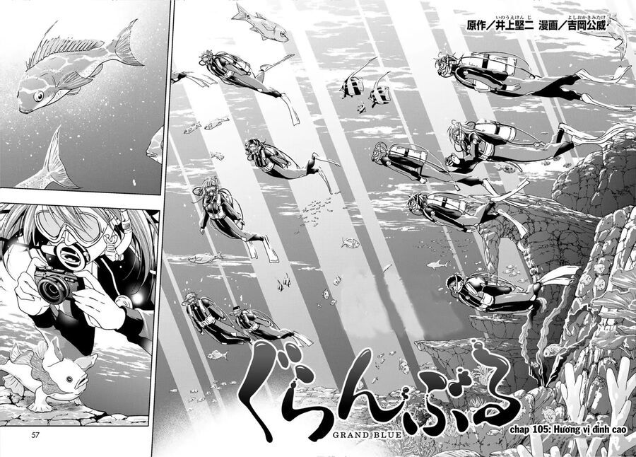 Grand Blue - Cô Gái Thích Lặn Chapter 105 - 6