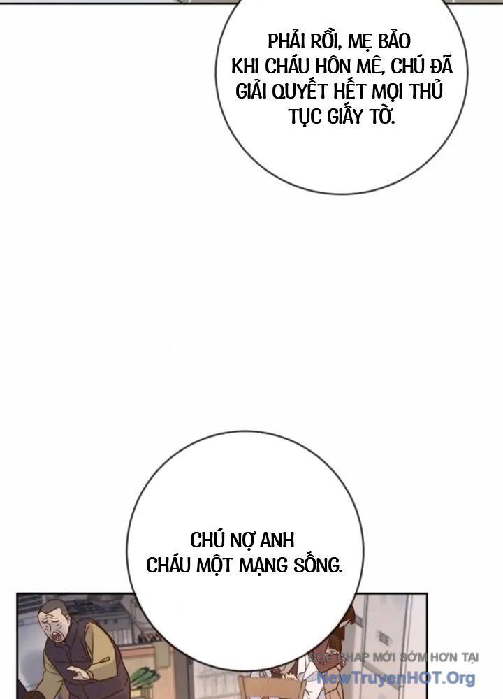 Mọi Người Đều Yêu Cô Ấy Chapter 22 - 48