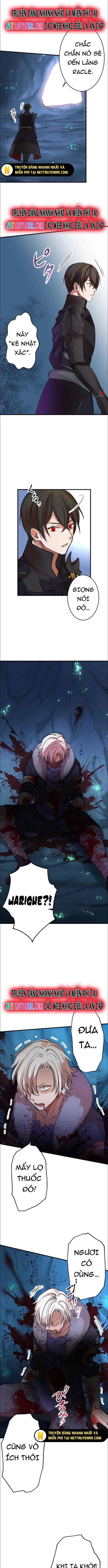 Hấp Thụ Cấp Độ Chapter 10 - 5