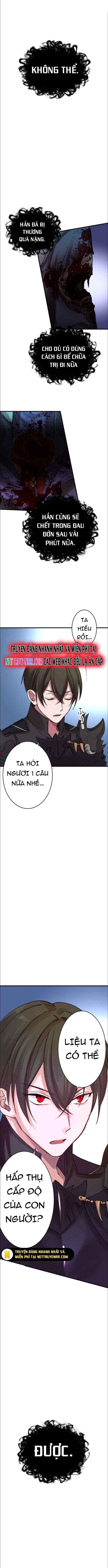 Hấp Thụ Cấp Độ Chapter 10 - 7