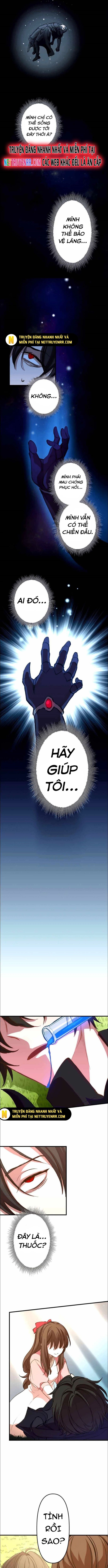 Hấp Thụ Cấp Độ Chapter 13 - 9