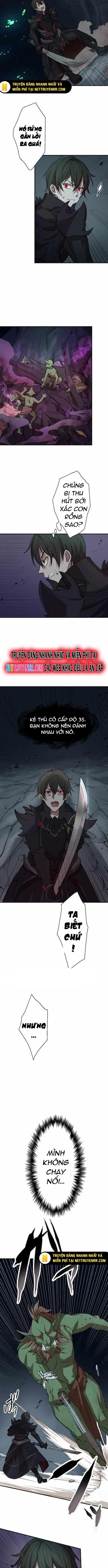 Hấp Thụ Cấp Độ Chapter 2 - 7