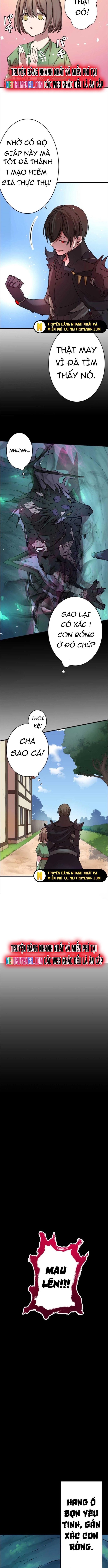 Hấp Thụ Cấp Độ Chapter 8 - 7