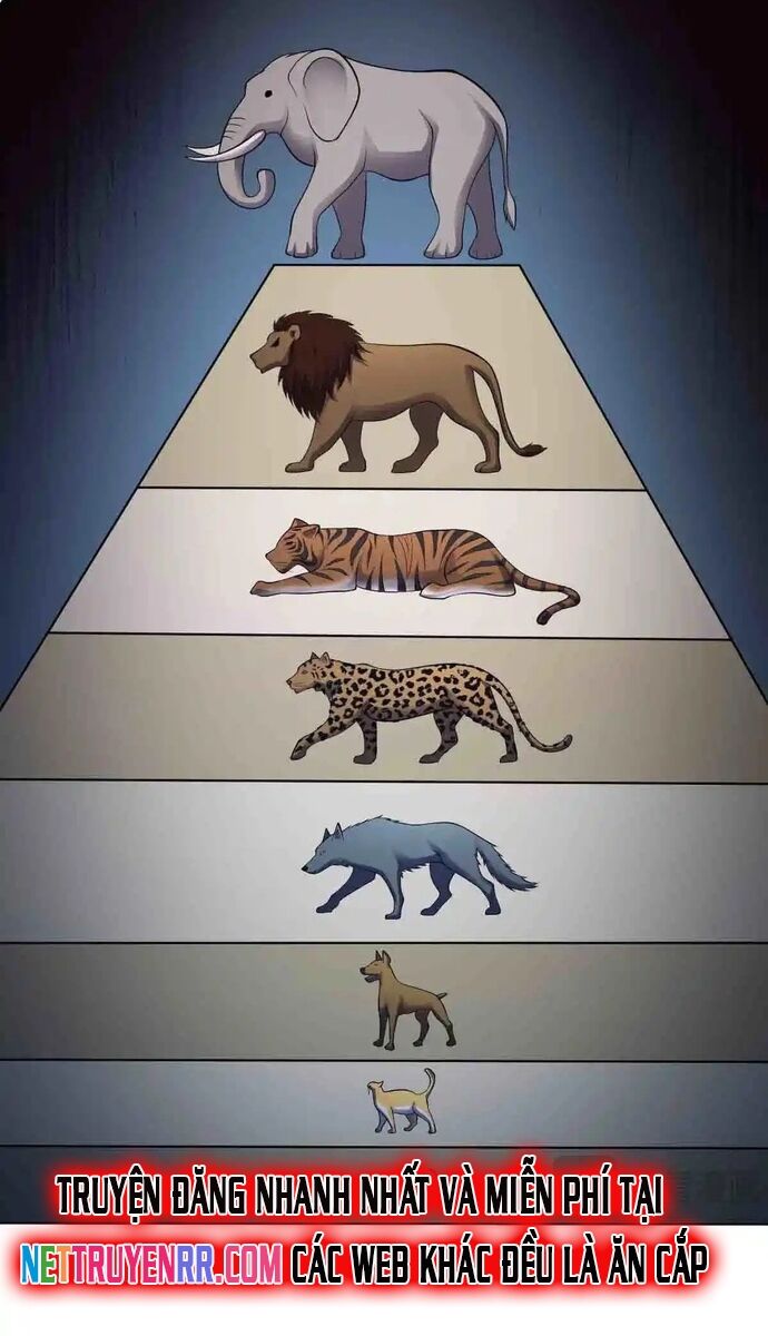 Vô Hạn Hồ Sơ Chapter 86 - 39