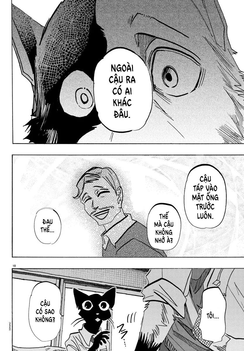 Lý Trí Của Taika Chapter 10 - 17