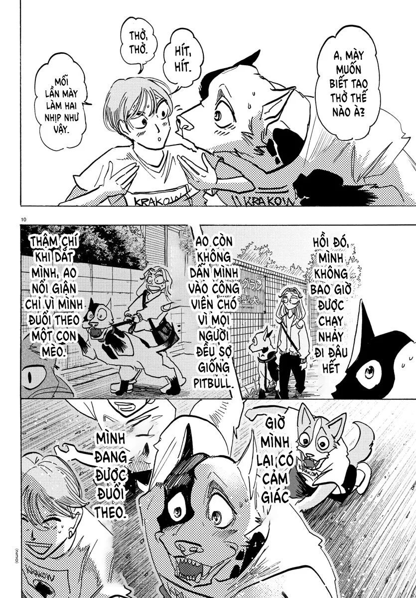 Lý Trí Của Taika Chapter 11 - 11