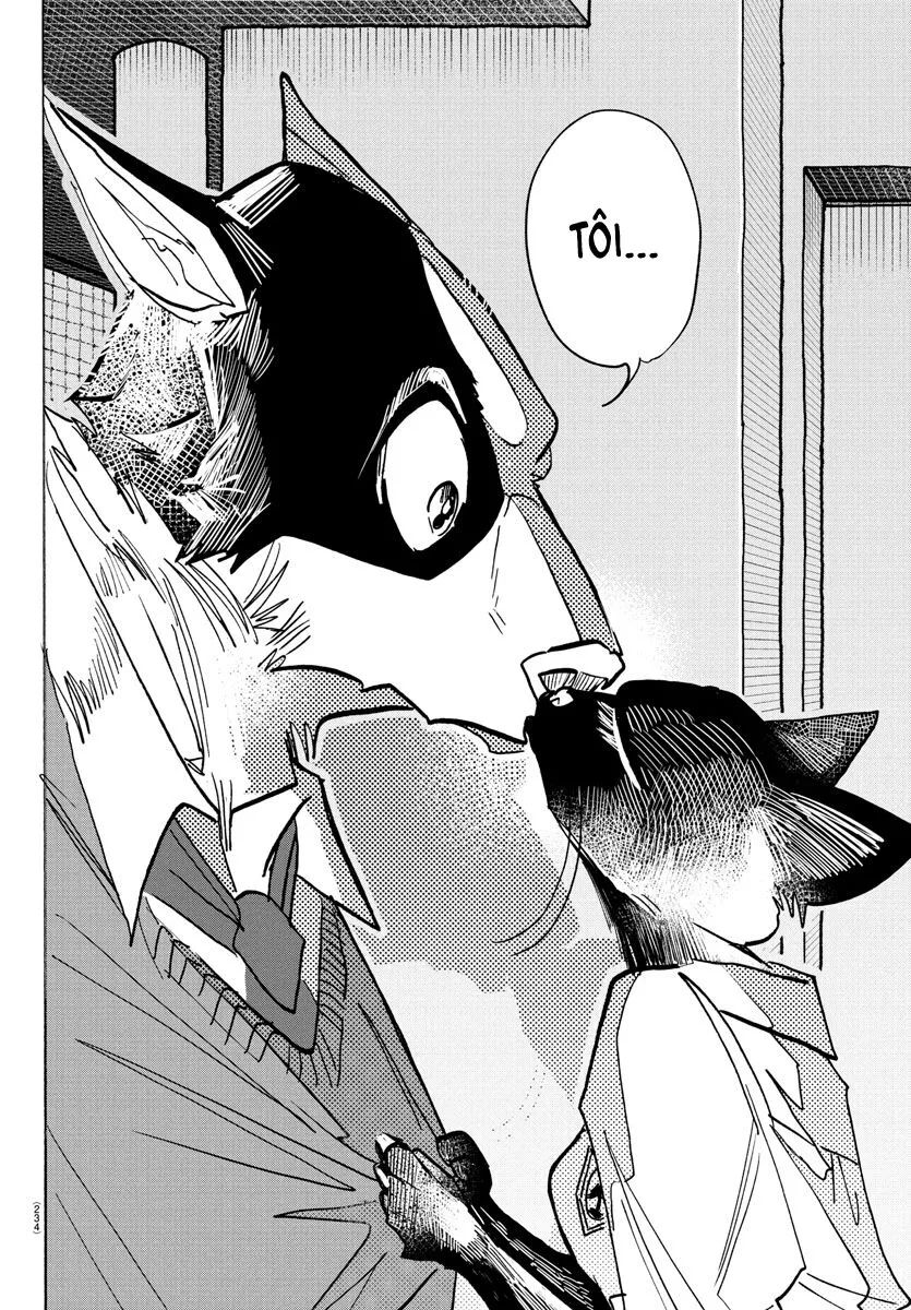 Lý Trí Của Taika Chapter 11 - 15