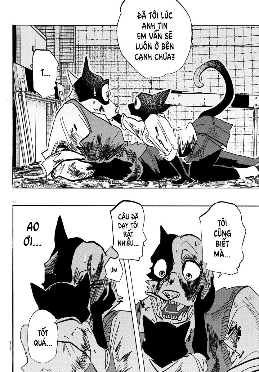 Lý Trí Của Taika Chapter 11 - 17