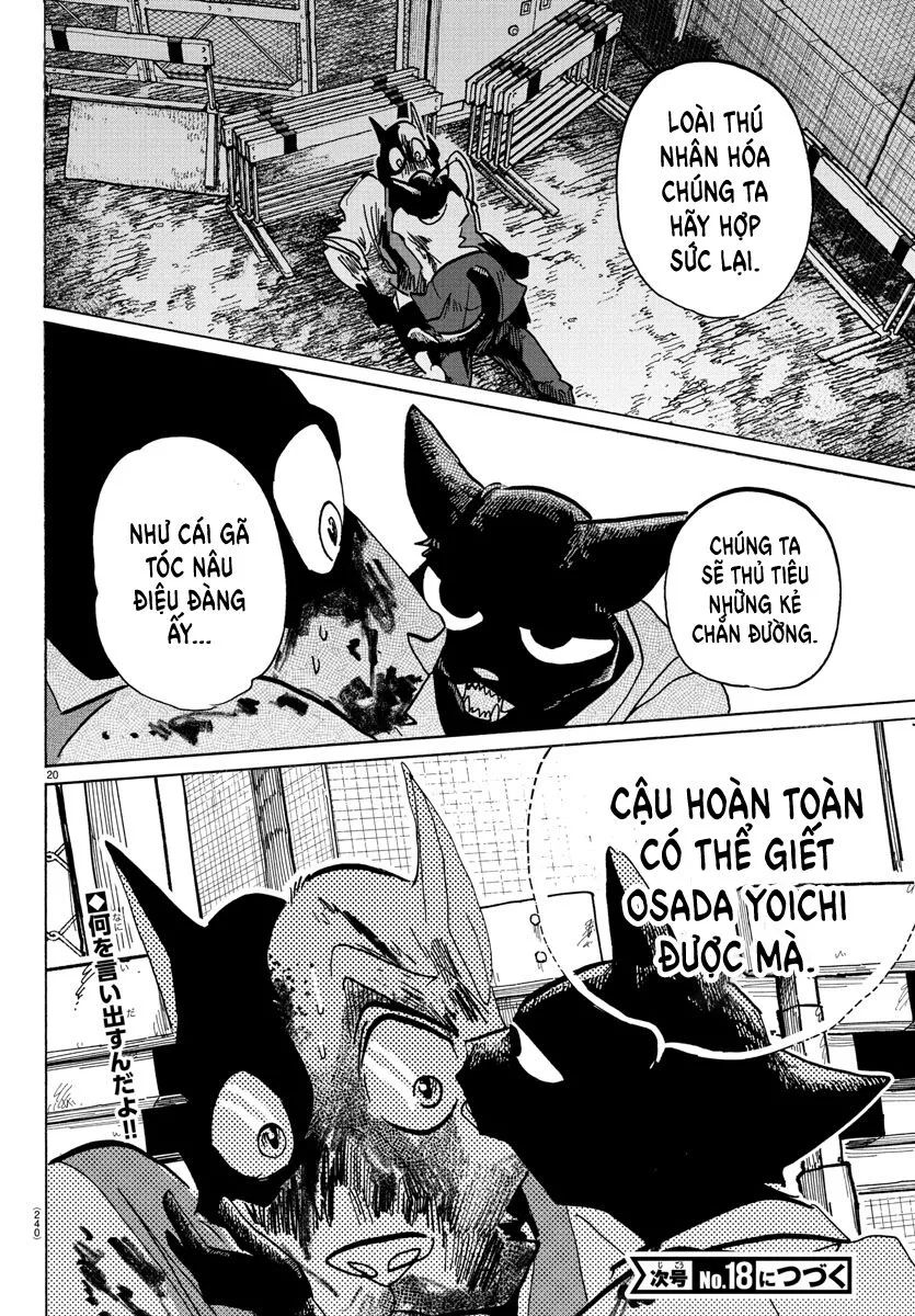 Lý Trí Của Taika Chapter 11 - 20