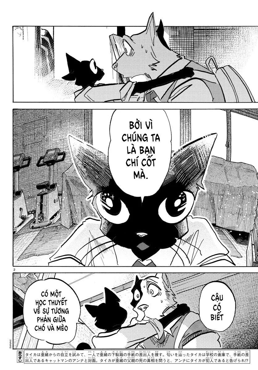 Lý Trí Của Taika Chapter 11 - 3