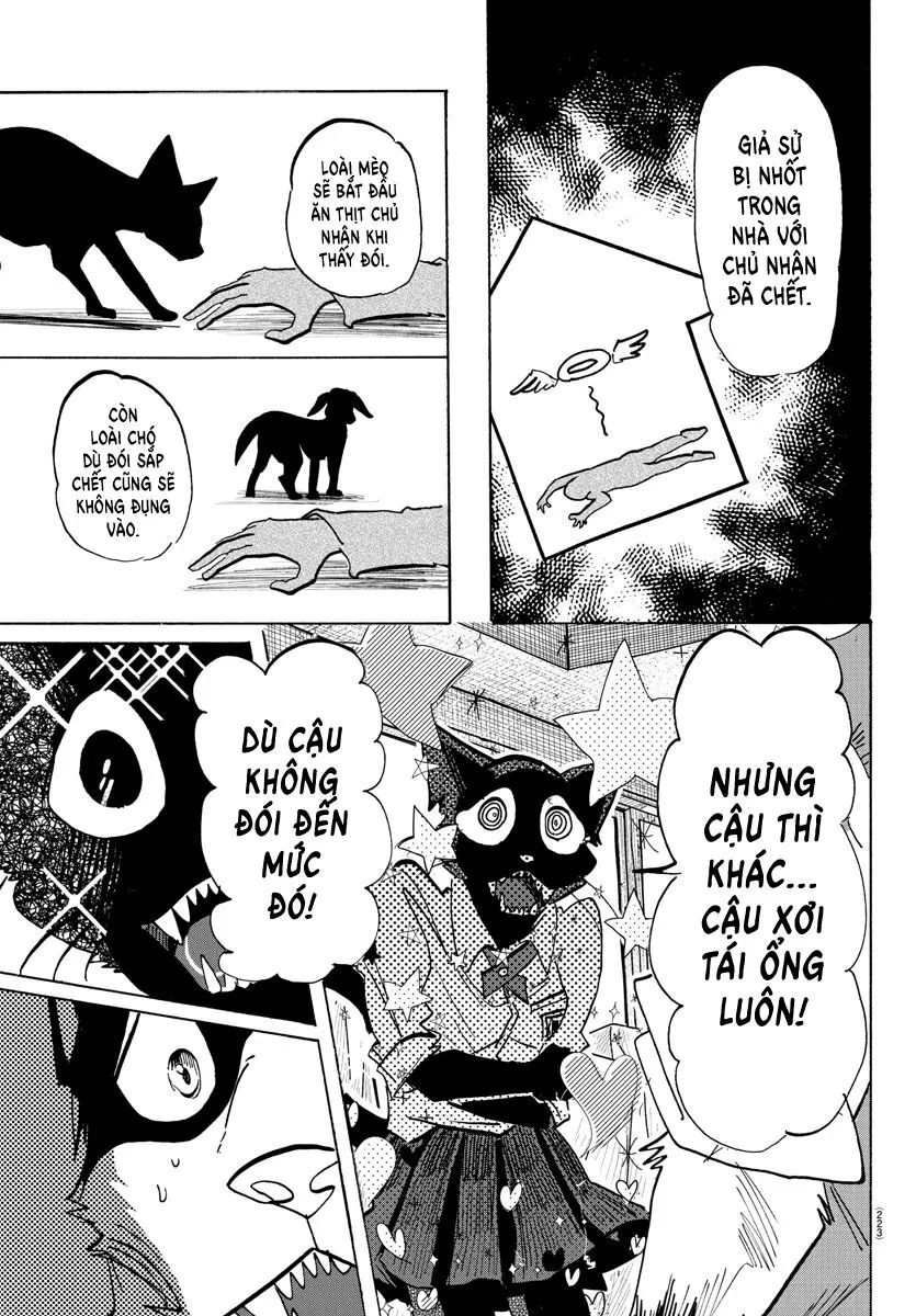 Lý Trí Của Taika Chapter 11 - 4